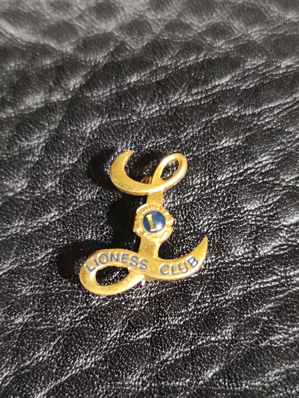 Vintage Lioness Club Gold Tone Pin
